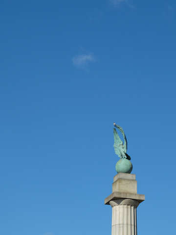 Pigeon on top of one of the 4 eagles at grand army