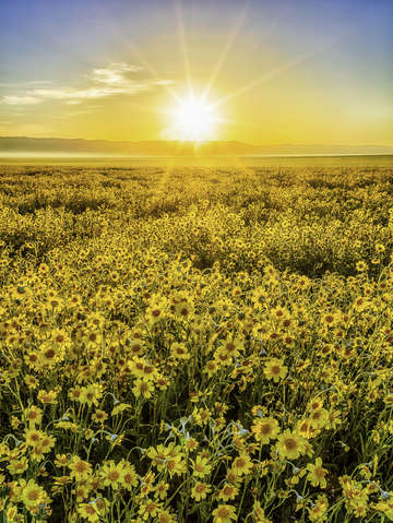 Carrizo sunrise