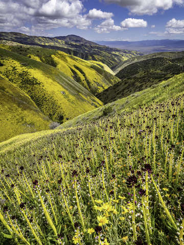 Valley of color