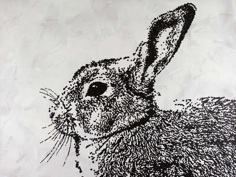 Spirit Animal: Rabbit