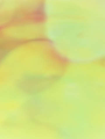 Lemon drops 02037
