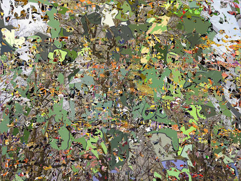 Foliage 2