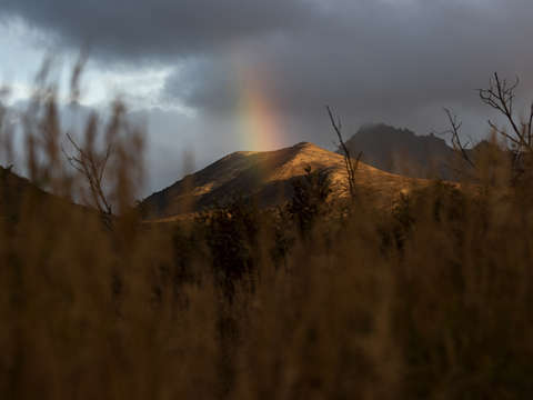 Anchorage powerline trail rainbow