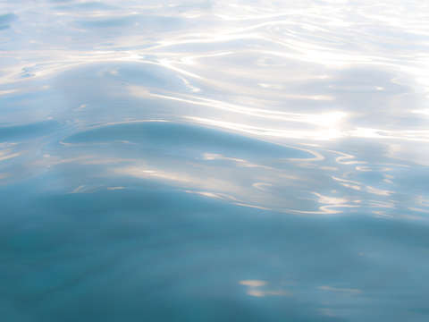 Reflection 1 3