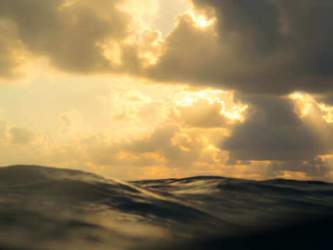 Golden waves 2