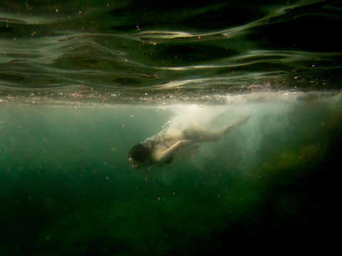 Diving woman