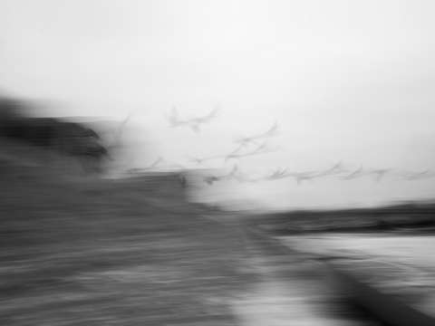 Migration 6