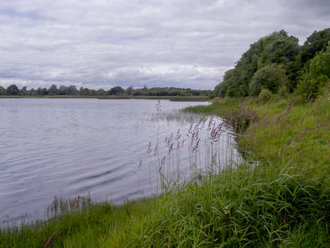 Ireland
