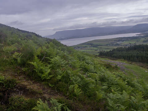 Ireland 3