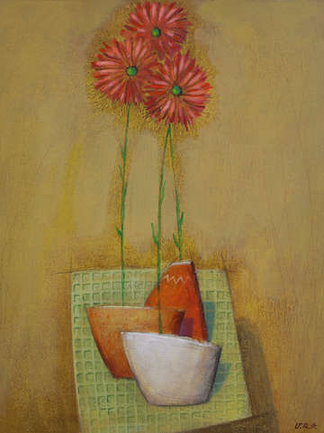 Gerberas