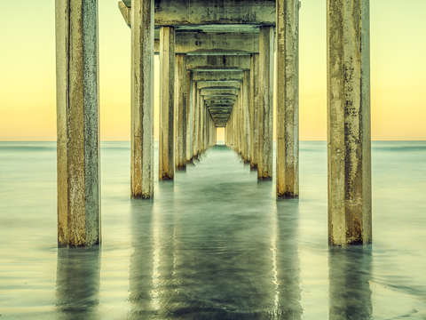 Golden scripps