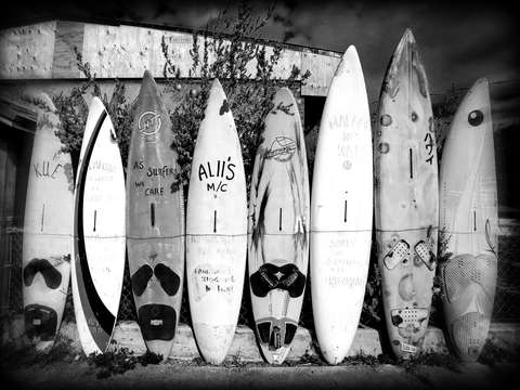 Surf board fence maui hawaii black and white