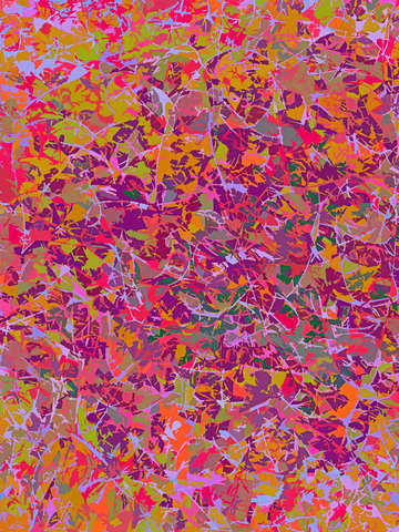Fall foliage