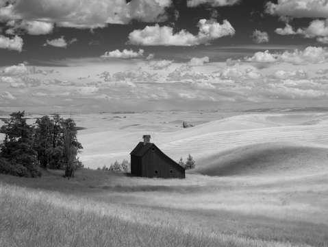 Barn in black and white
