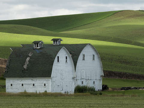 Twin barns