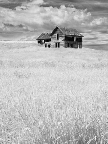 Abandoned house