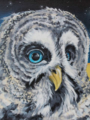 Starry owl