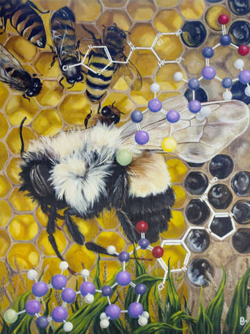 Colony collapse
