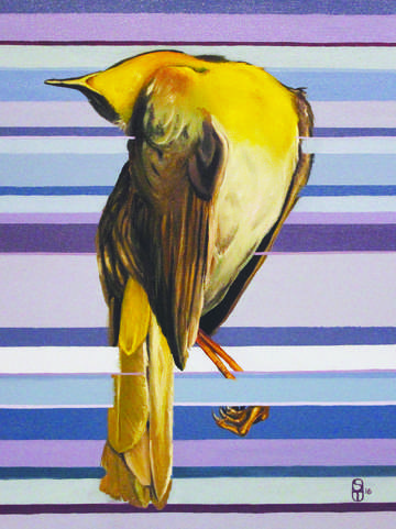 Trapped yellow and purple