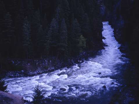 Lonely river