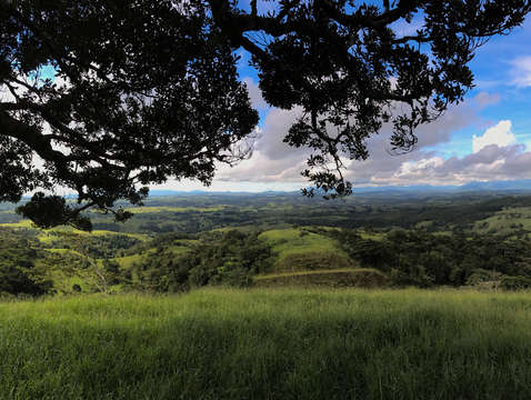 Atherton tablelands queensland australia