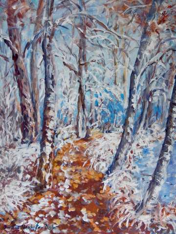 Forest path in winter