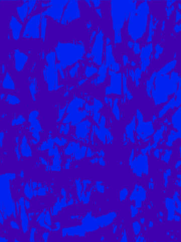 Homage to kline and klein