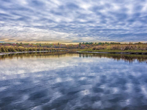 River reflection 1