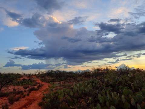 Dawn along the border