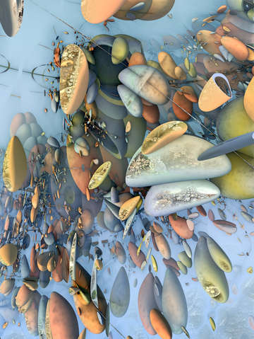 Broken shell beach