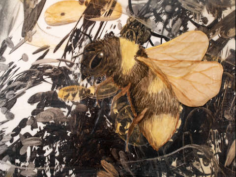 Bumblebee 3
