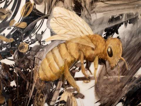 Honeybee