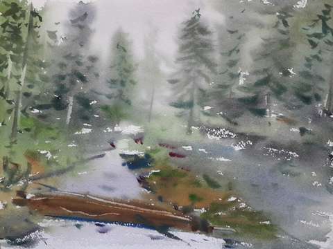Wild landscape