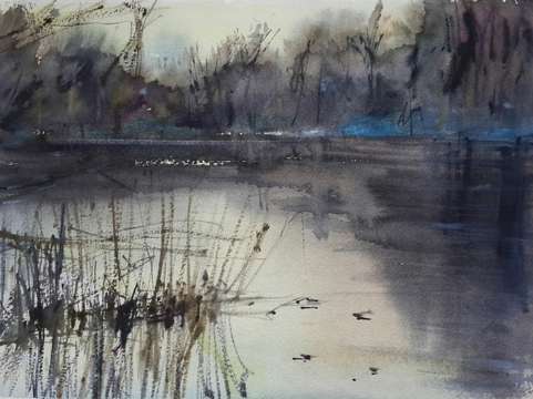 Wild landscape 2
