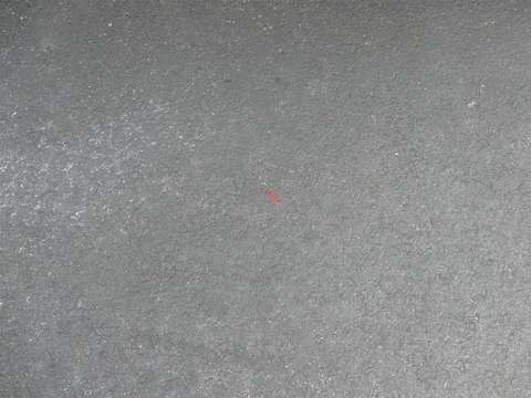 Red paper clip