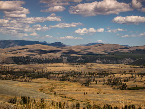 Hayden valley yellowstone
