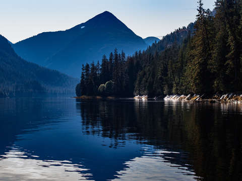 The misty fjords