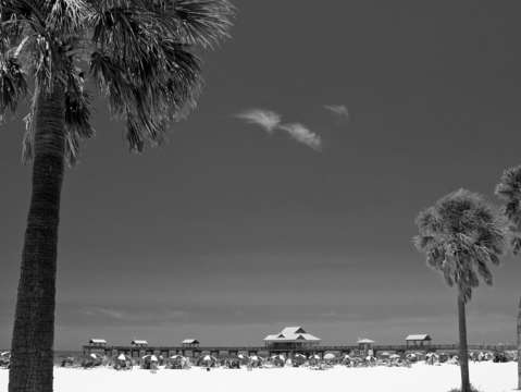 Clearwater beach black white