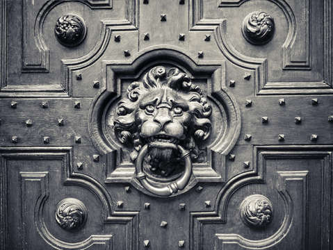 Lion head door knocker