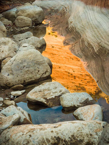 Reflections of color