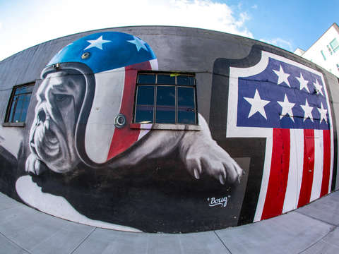 Motorcycle bulldog