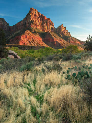 The watchman 2
