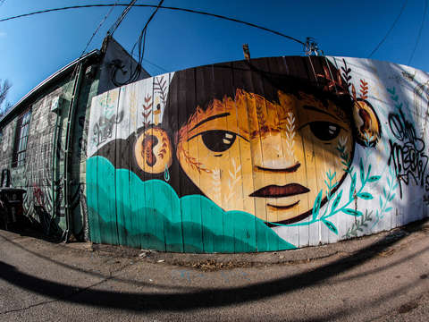 Alley fence mural