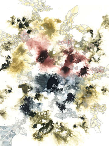 Organic algorithm 41