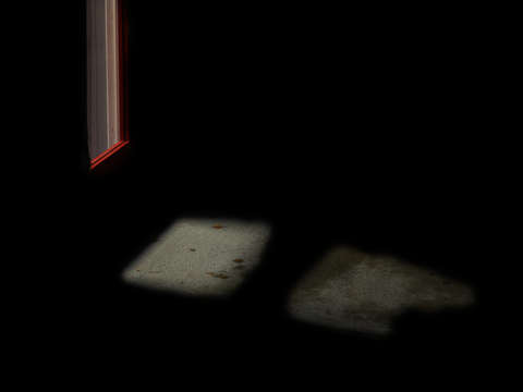 Shadowplay 2