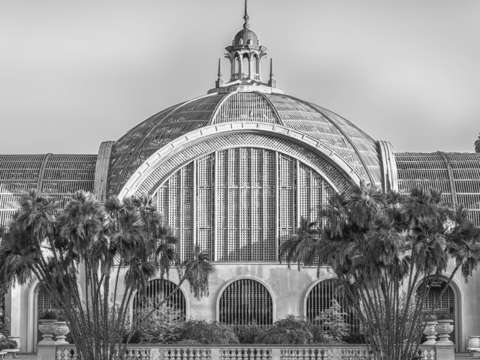 Botanical monochrome