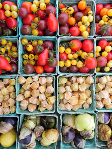 Farmers market 2