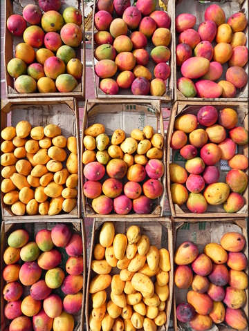 Farmers market ii