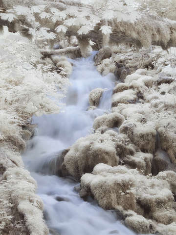 Fairy falls