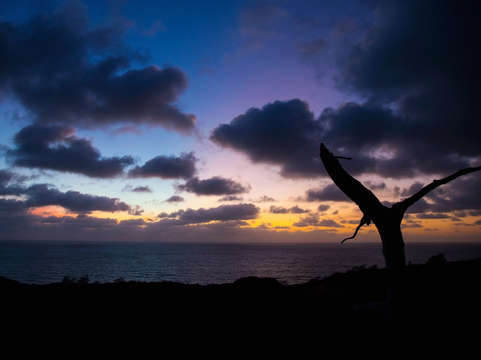 Pacific dusk